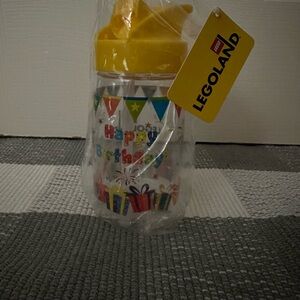 Legoland birthday water bottle